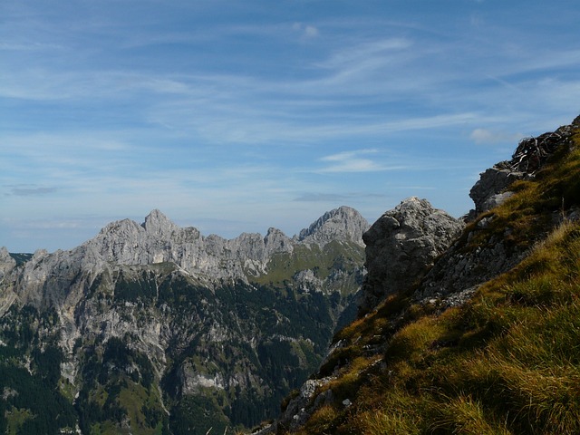 阿尔高阿尔卑斯山 阿尔卑斯山 山 - 上的免费照片
