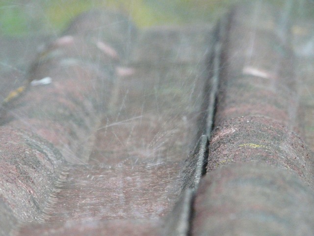 爆裂 溅 雨滴 - 上的免费照片