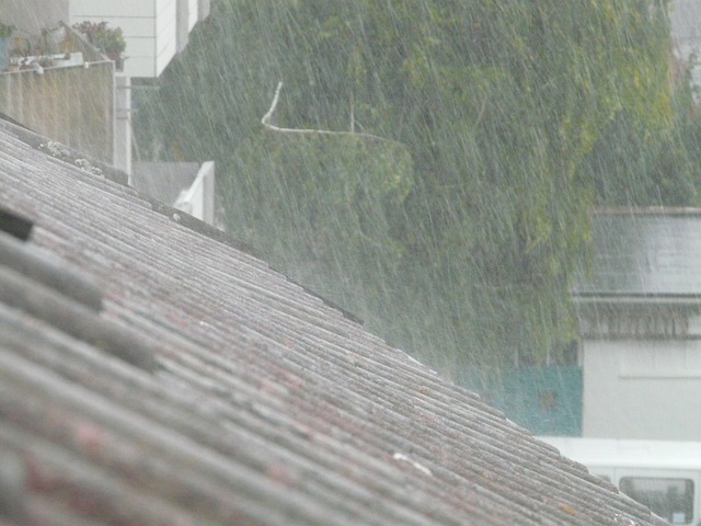 倾盆大雨 屋顶 淋浴 - 上的免费照片