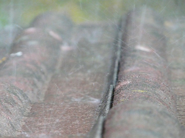雨滴 溅 雨溅 - 上的免费照片