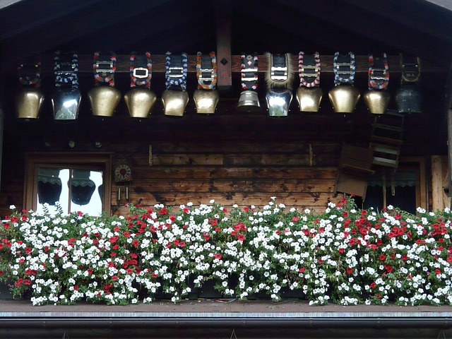 牛铃 收藏 金的 - 上的免费照片