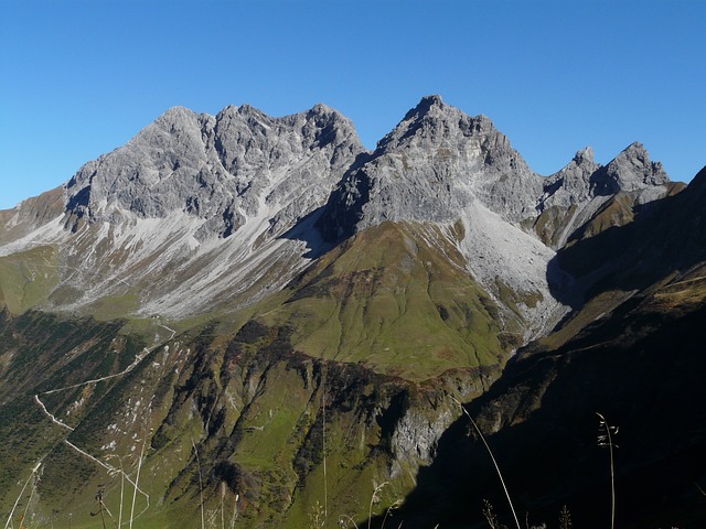 大野人 首脑 有点狂野 - 上的免费照片