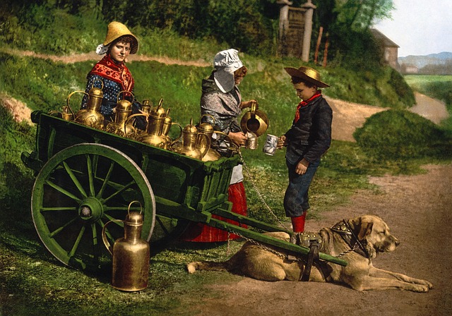 牛奶 手推车 Photochrom - 上的免费照片