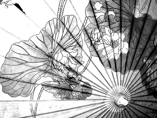 科目 中国人 黑和白 - 上的免费照片