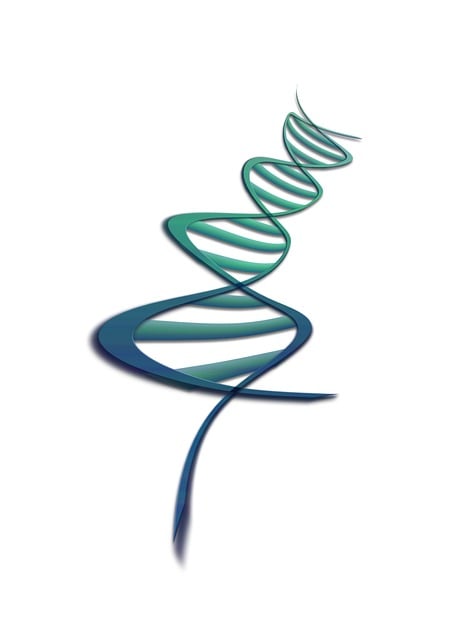 脱氧核糖核酸 形象的 Dna - 上的免费图片