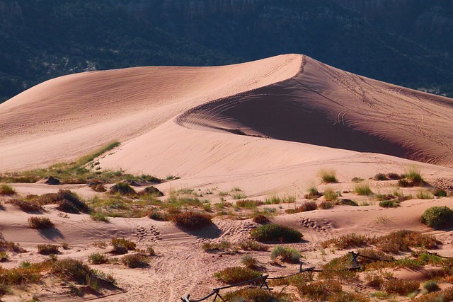 沙漠 沙 沙丘 - 上的免费照片