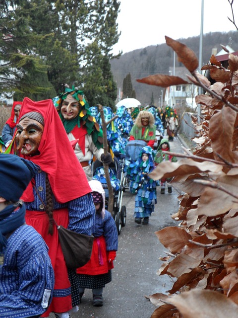 傻瓜会馆乌尔姆 狂欢 Fasnet - 上的免费照片