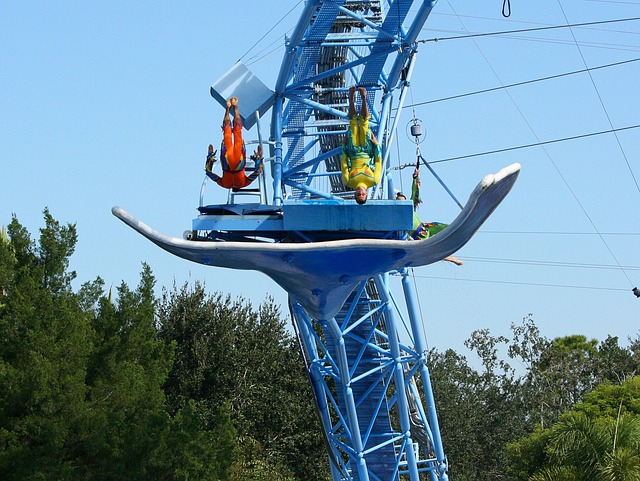 高台跳水 潜水 空翻 - 上的免费照片