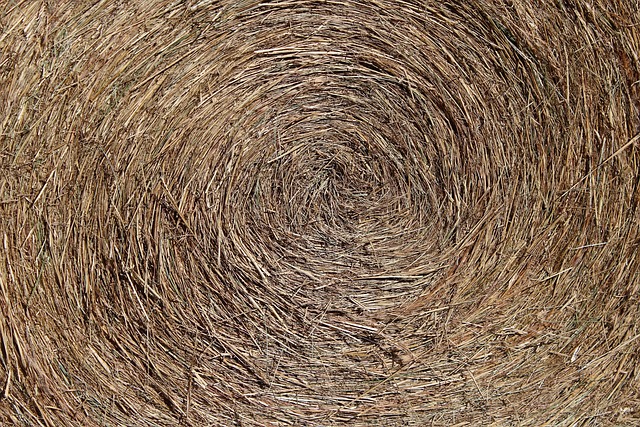 捆草 质地 图案 - 上的免费照片