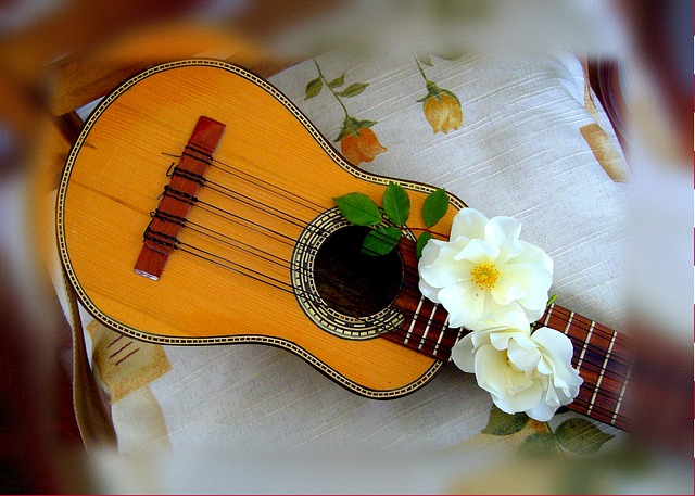 Charango 安第斯山脉 弦乐器 - 上的免费照片