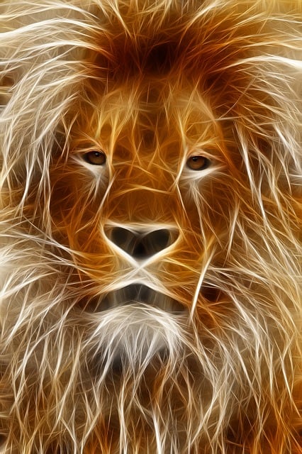 狮子 图像编辑 形象的 - 上的免费图片