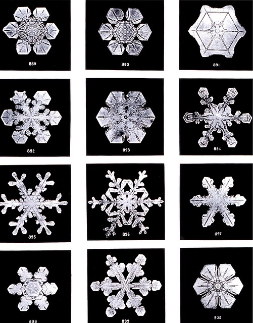 水晶 冰晶 雪 - 上的免费照片