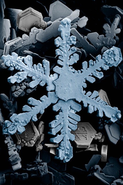 冰晶 水晶 雪 - 上的免费照片
