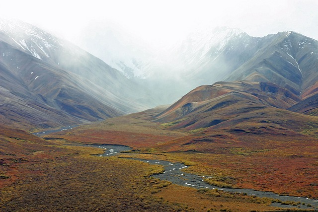 阿拉斯加州 山 苔原 - 上的免费照片