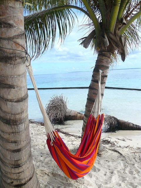 加勒比海 乔 胰岛 - 上的免费照片