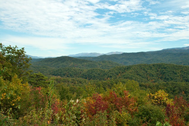 田纳西州 黑烟山 山 - 上的免费照片