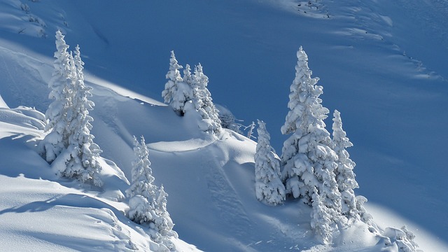 雪 景观 冬天 - 上的免费照片