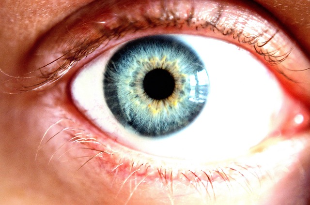 眼睛 蓝色的 角膜 - 上的免费照片