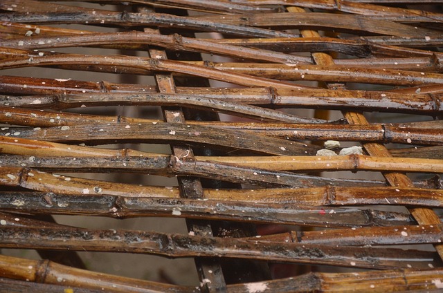 竹子 格子 材料 - 上的免费照片