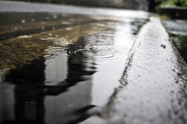 特写 水坑 雨 - 上的免费照片