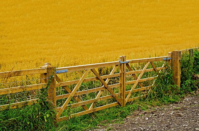 农业 庄稼 栅栏 - 上的免费照片