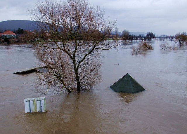 河 水 洪水 - 上的免费照片