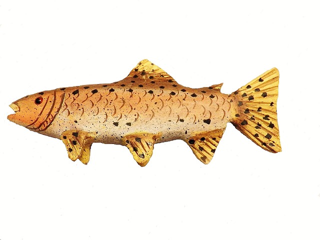 鱼 钓鱼 诱饵 - 上的免费照片