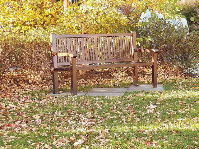 公园的长椅上 长椅 座位 - 上的免费照片