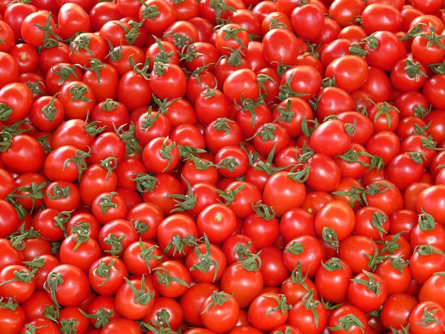 番茄 蔬菜 红色的 - 上的免费照片