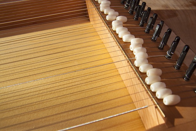 Monochord 佳能 乐器 - 上的免费照片