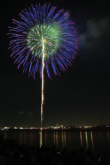 烟花 Hanabi 丰富多彩的 - 上的免费照片