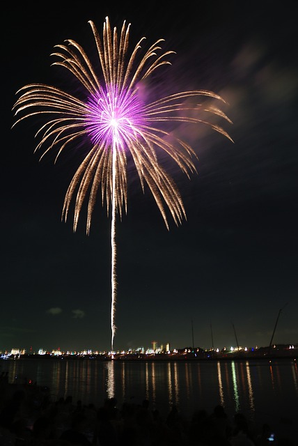 棕榈 烟花 Hanabi - 上的免费照片
