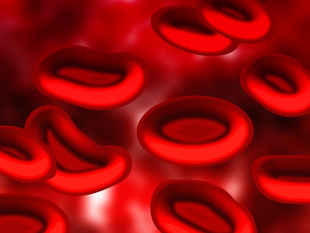 血 血液血浆 红血细胞 - 上的免费图片