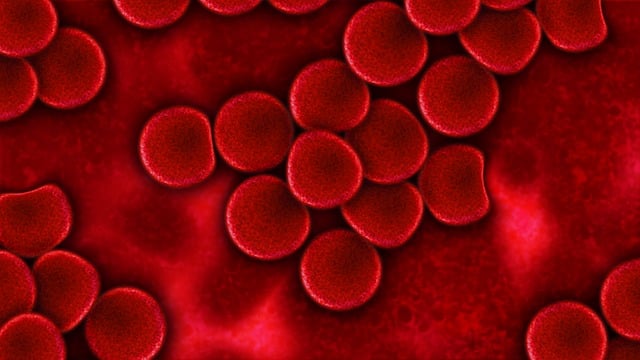 血 血液血浆 红血细胞 - 上的免费图片