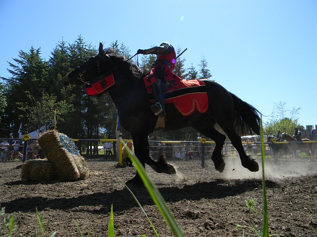 马 节日 中世纪 - 上的免费照片