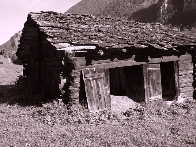 建造 谷仓 棚 - 上的免费照片