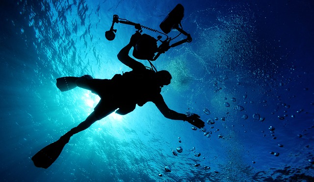 水肺潜水 游泳 海 - 上的免费照片