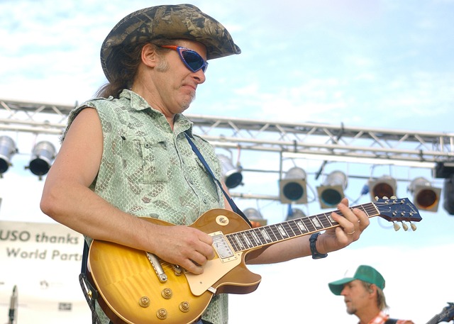 Ted Nugent 音乐会 表现 - 上的免费照片