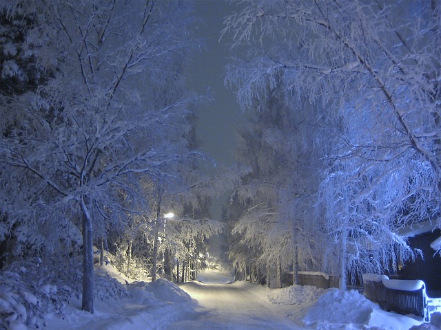 冬天 雪 霜 - 上的免费照片