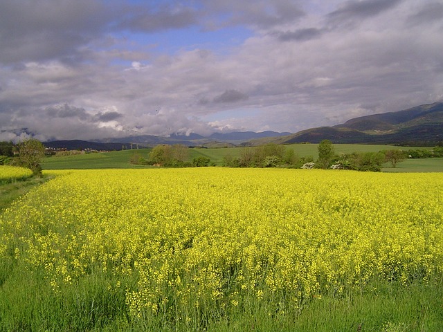 在Cerdanya的 Girona - 上的免费照片