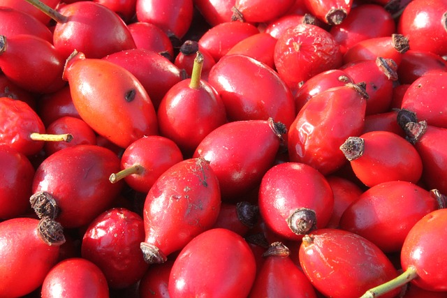 抗氧化剂 特写 脂肪酸 - 上的免费照片