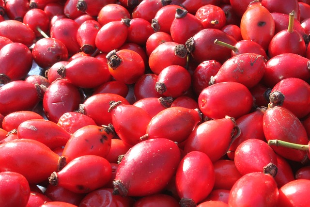 抗氧化剂 特写 脂肪酸 - 上的免费照片