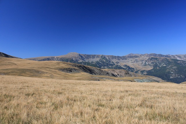 喀尔巴阡山 山 帕朗 - 上的免费照片