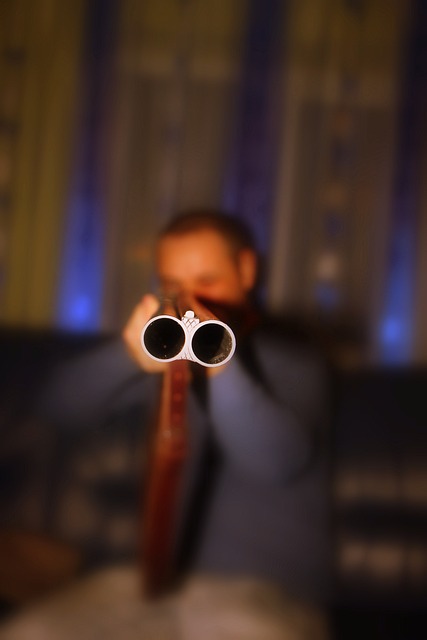 双倍的 枪支 德国 - 上的免费照片