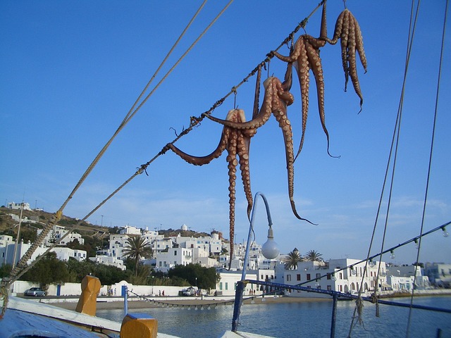 米科诺斯岛 希腊 港口 - 上的免费照片