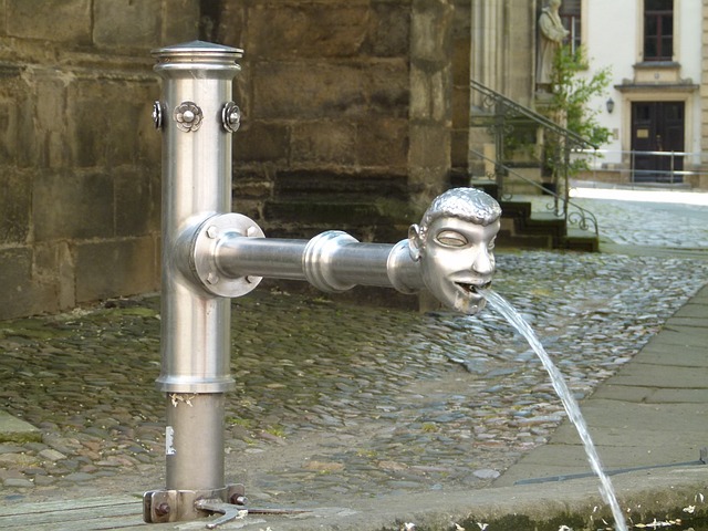 Pirna 德国 喷泉 - 上的免费照片