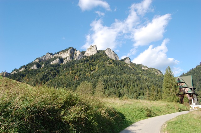 麦积山 顶视图 景观 - 上的免费照片