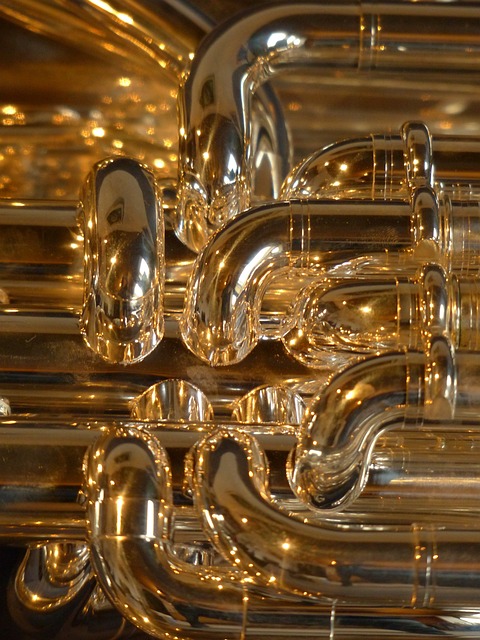 中低音号 铜管乐器 仪器 - 上的免费照片