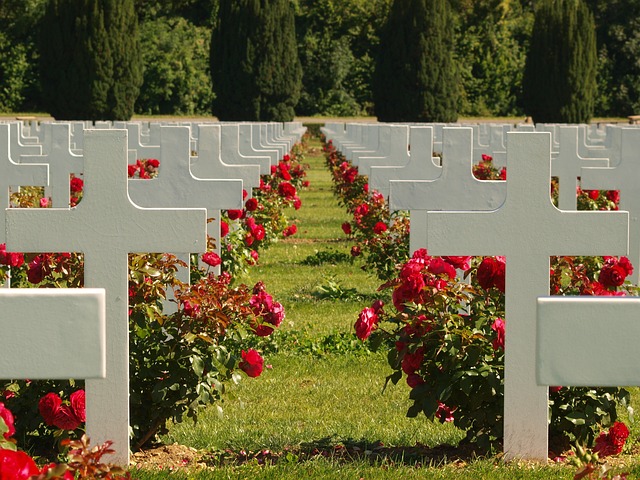 法国 Douaumont 骨库龛 公墓 - 上的免费照片