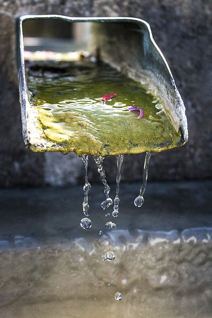 水 天然水 拖放水的 - 上的免费照片